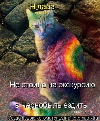Н,дааа Не стоило на экскурсию Не стоило на экскурсию в Чернобыль ездить...... Котоматрица: Н,дааа Не стоило на экскурсию Не стоило на экскурсию в Чернобыль ездить...