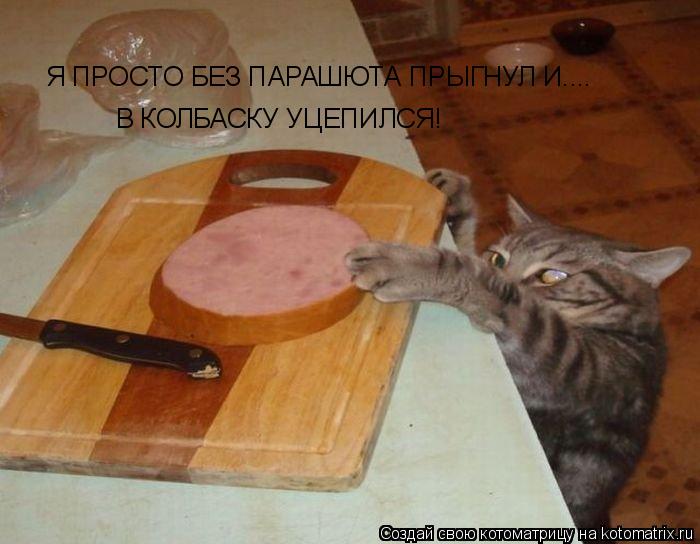 Я ПРОСТО БЕЗ ПАРАШЮТА ПРЫГНУЛ И.... В КОЛБАСКУ УЦЕПИЛСЯ!... Котоматрица: Я ПРОСТО БЕЗ ПАРАШЮТА ПРЫГНУЛ И.... В КОЛБАСКУ УЦЕПИЛСЯ!