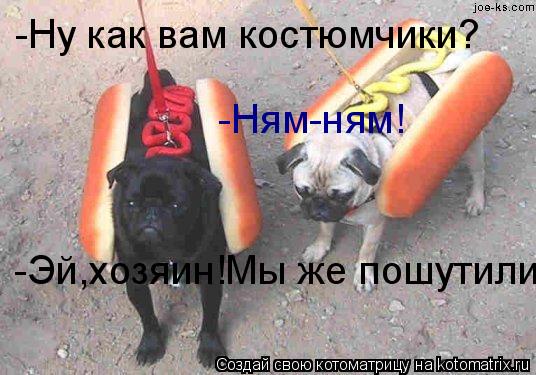 -Ну как вам костюмчики? -Ням-ням! -Эй,хозяин!Мы же пошутили!... Котоматрица: -Ну как вам костюмчики? -Ням-ням! -Эй,хозяин!Мы же пошутили!