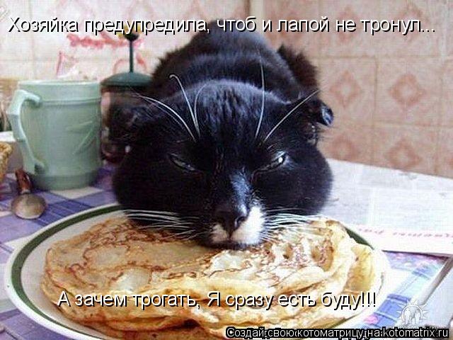 Хозяйка предупредила, чтоб и лапой не тронул... А зачем трогать, Я сразу есть буду!!!... Котоматрица: Хозяйка предупредила, чтоб и лапой не тронул... А зачем трогать, Я сразу есть буду!!!
