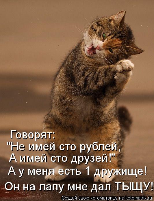 "Не имей сто рублей, А имей сто друзей!" Говорят: А у меня есть 1 дружище! Он на лапу мне дал ТЫЩУ!... Котоматрица: "Не имей сто рублей, А имей сто друзей!" Говорят: А у меня есть 1 дружище! Он на лапу мне дал ТЫЩУ!