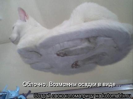Облочно. Возможны осадки в виде...... Котоматрица: Облочно. Возможны осадки в виде...