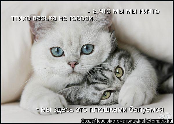 а что мы мы ничто - - мы здесь это плюшками балуемся ттихо васька не говори..... Котоматрица: а что мы мы ничто - - мы здесь это плюшками балуемся ттихо васька не говори..