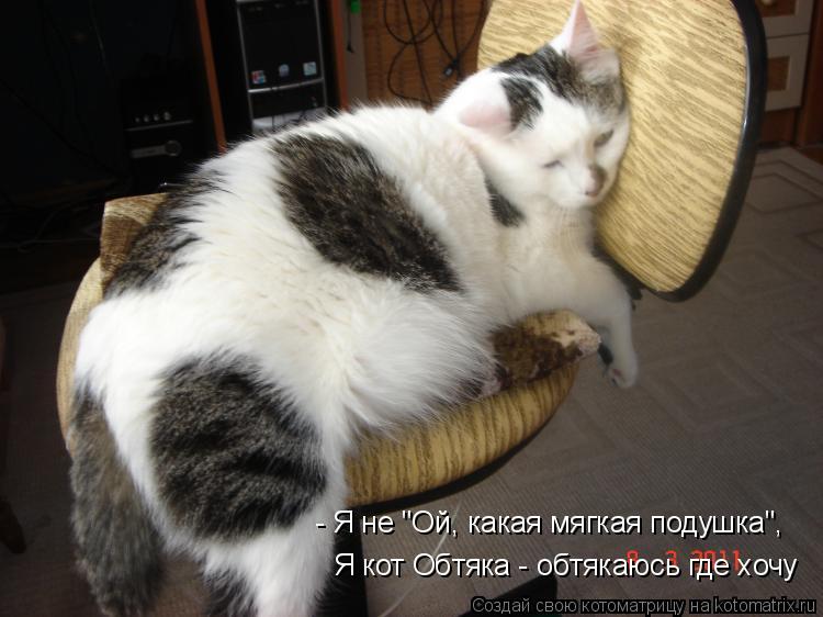 Я кот Обтяка - обтякаюсь где хочу - Я не "Ой, какая мягкая подушка",... Котоматрица: Я кот Обтяка - обтякаюсь где хочу - Я не "Ой, какая мягкая подушка",