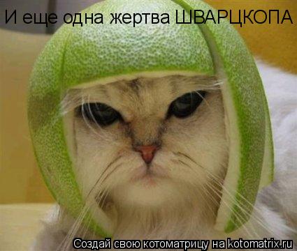 И еще одна жертва ШВАРЦКОПА... Котоматрица: И еще одна жертва ШВАРЦКОПА