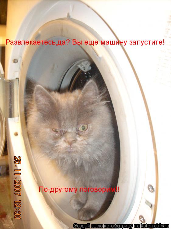 Развлекаетесь,да? Вы еще машину запустите! По-другому поговорим!!... Котоматрица: Развлекаетесь,да? Вы еще машину запустите! По-другому поговорим!!