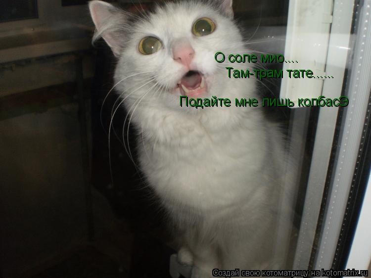 О соле мио.... Там-трам тате...... Подайте мне лишь колбасЭ... Котоматрица: О соле мио.... Там-трам тате...... Подайте мне лишь колбасЭ
