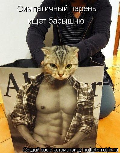 Симпатичный парень ищет барышню... Котоматрица: Симпатичный парень ищет барышню