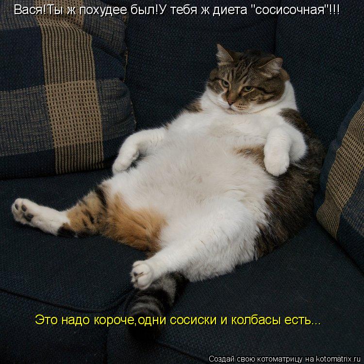 Вася!Ты ж похудее был!У тебя ж диета "сосисочная"!!! Это надо короче,одни сосиски и колбасы есть...... Котоматрица: Вася!Ты ж похудее был!У тебя ж диета "сосисочная"!!! Это надо короче,одни сосиски и колбасы есть...