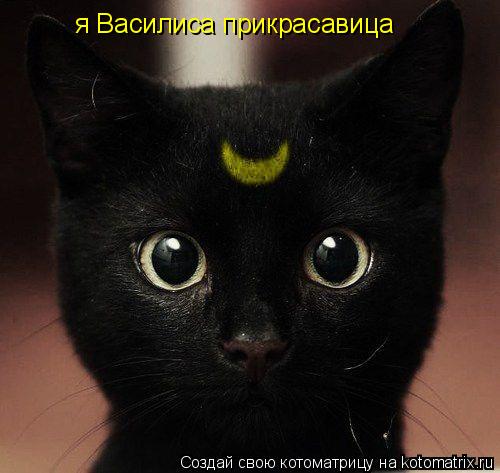 я Василиса прикрасавица... Котоматрица: я Василиса прикрасавица