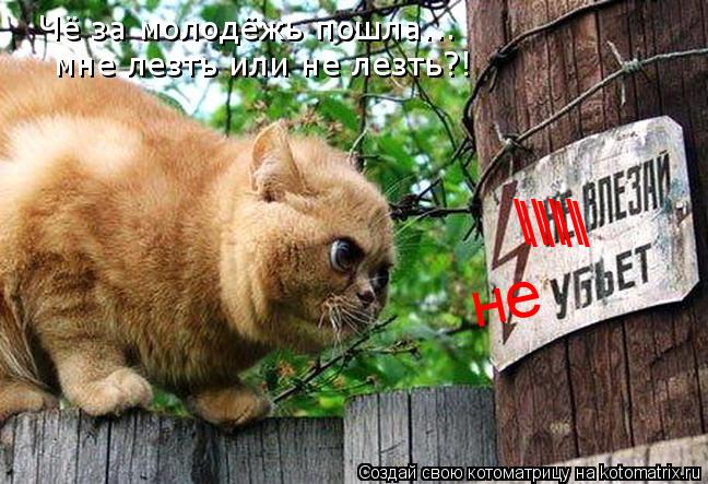 \\\\ \\\\ не Чё за молодёжь пошла... мне лезть или не лезть?!... Котоматрица: \\\\ \\\\ не Чё за молодёжь пошла... мне лезть или не лезть?!