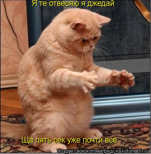 Я те отвесяю я джедай Ща пять сек уже почти всё... Котоматрица: Я те отвесяю я джедай Ща пять сек уже почти всё