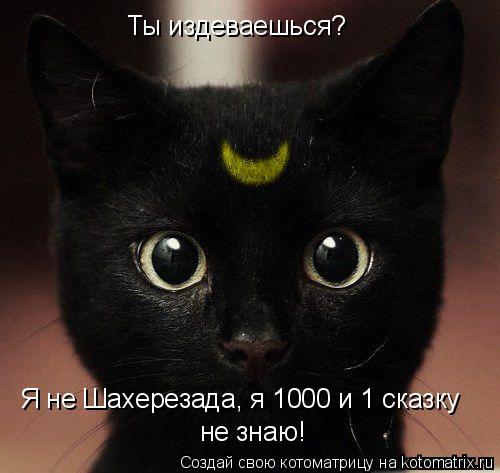 Ты издеваешься? Я не Шахерезада, я 1000 и 1 сказку не знаю!... Котоматрица: Ты издеваешься? Я не Шахерезада, я 1000 и 1 сказку не знаю!