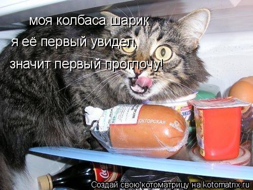 моя колбаса шарик я её первый увидел, значит первый проглочу!... Котоматрица: моя колбаса шарик я её первый увидел, значит первый проглочу!