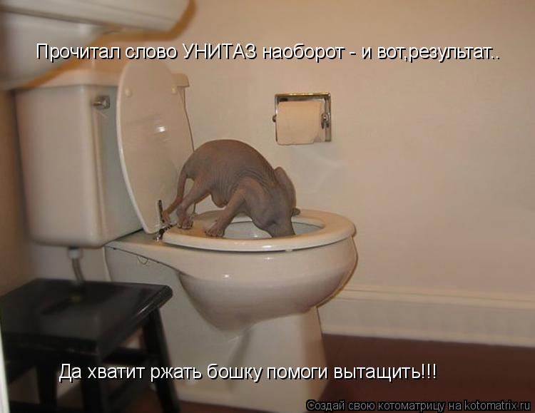 Прочитал слово УНИТАЗ наоборот - и вот,результат.. Да хватит ржать бошку помоги вытащить!!!... Котоматрица: Прочитал слово УНИТАЗ наоборот - и вот,результат.. Да хватит ржать бошку помоги вытащить!!!