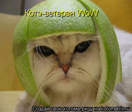 Котэ-ветеран WoW... Котоматрица: Котэ-ветеран WoW