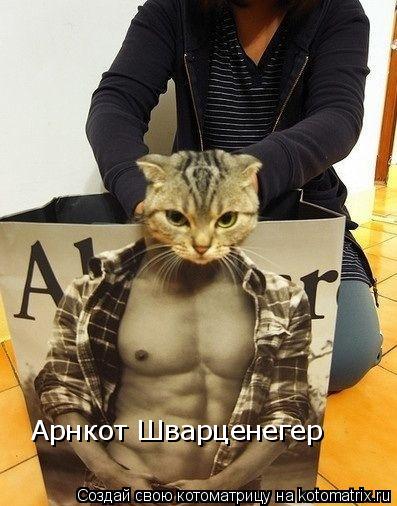 Арнкот Шварценегер... Котоматрица: Арнкот Шварценегер