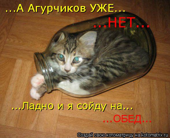 ...А Агурчиков УЖЕ... ...НЕТ... ...Ладно и я сойду на... ...ОБЕД...... Котоматрица: ...А Агурчиков УЖЕ... ...НЕТ... ...Ладно и я сойду на... ...ОБЕД...