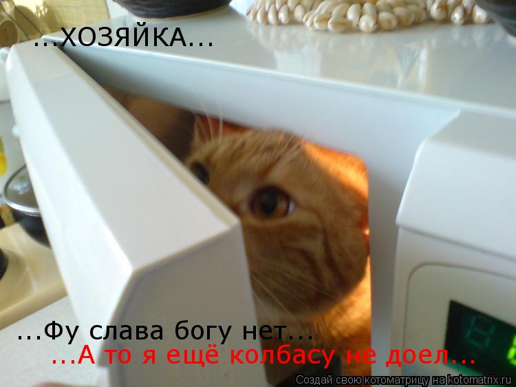 ...ХОЗЯЙКА... ...Фу слава богу нет... ...А то я ещё колбасу не доел...... Котоматрица: ...ХОЗЯЙКА... ...Фу слава богу нет... ...А то я ещё колбасу не доел...