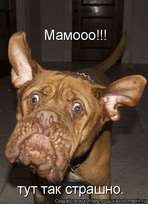 Мамооо!!! тут так страшно.... Котоматрица: Мамооо!!! тут так страшно.