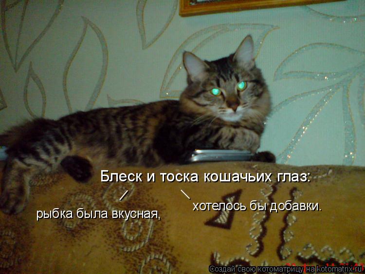 Блеск и тоска кошачьих глаз: рыбка была вкусная, | | хотелось бы добавки.... Котоматрица: Блеск и тоска кошачьих глаз: рыбка была вкусная, | | хотелось бы добавки.