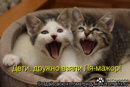 Дети, дружно взяли Ля-мажор!... Котоматрица: Дети, дружно взяли Ля-мажор!