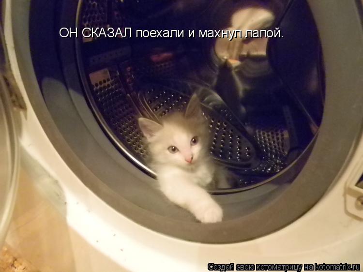 ОН СКАЗАЛ поехали и махнул лапой.... Котоматрица: ОН СКАЗАЛ поехали и махнул лапой.