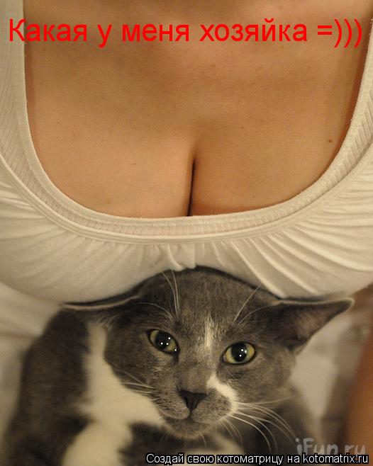 Какая у меня хозяйка =)))... Котоматрица: Какая у меня хозяйка =)))
