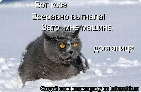 Вот коза Всеравно выгнала! Зато мне машина достаница... Котоматрица: Вот коза Всеравно выгнала! Зато мне машина достаница