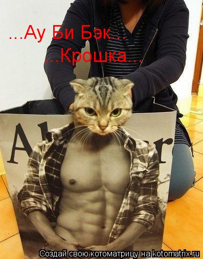 ...Ау Би Бэк... ...Крошка...... Котоматрица: ...Ау Би Бэк... ...Крошка...