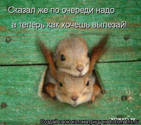 Сказал же по очереди надо а теперь как хочешь вылезай!... Котоматрица: Сказал же по очереди надо а теперь как хочешь вылезай!
