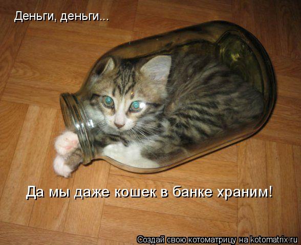 Деньги, деньги... Да мы даже кошек в банке храним!... Котоматрица: Деньги, деньги... Да мы даже кошек в банке храним!