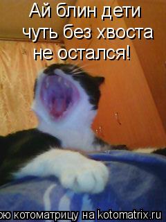 Ай блин дети чуть без хвоста не остался!... Котоматрица: Ай блин дети чуть без хвоста не остался!