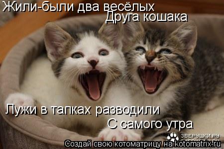 Жили-были два весёлых Друга кошака Лужи в тапках разводили С самого утра... Котоматрица: Жили-были два весёлых Друга кошака Лужи в тапках разводили С самого утра