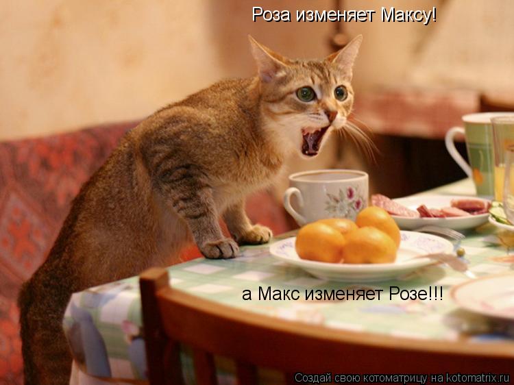 Роза изменяет Максу! а Макс изменяет Розе!!!... Котоматрица: Роза изменяет Максу! а Макс изменяет Розе!!!