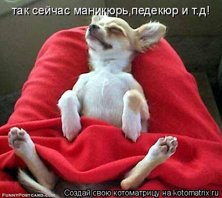 так сейчас маникюрь,педекюр и т.д!... Котоматрица: так сейчас маникюрь,педекюр и т.д!