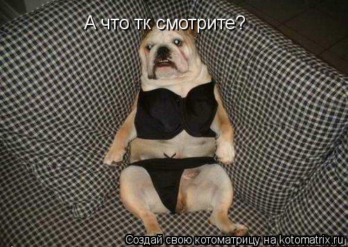 А что тк смотрите?... Котоматрица: А что тк смотрите?