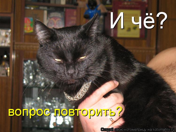 И чё? вопрос повторить?... Котоматрица: И чё? вопрос повторить?