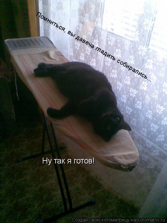 Помниться, вы давеча гладить собирались... Ну так я готов!... Котоматрица: Помниться, вы давеча гладить собирались... Ну так я готов!