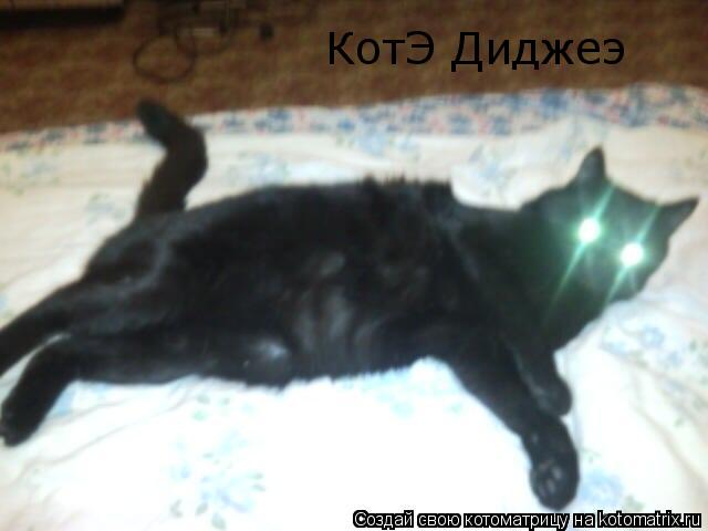 КотЭ Диджеэ... Котоматрица: КотЭ Диджеэ