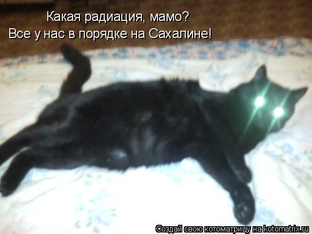Какая радиация, мамо? Все у нас в порядке на Сахалине!... Котоматрица: Какая радиация, мамо? Все у нас в порядке на Сахалине!