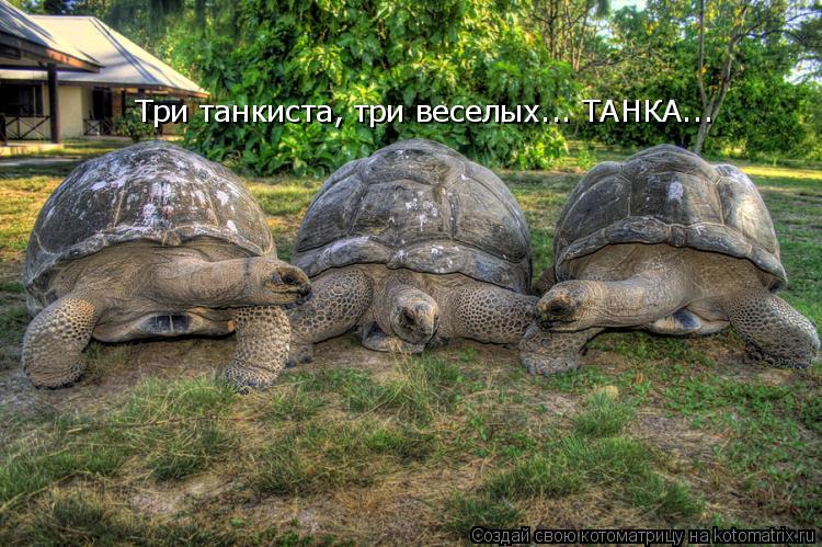 Три танкиста, три веселых... ТАНКА...... Котоматрица: Три танкиста, три веселых... ТАНКА...