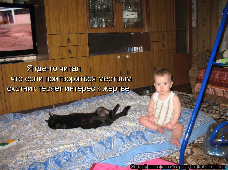 Я где-то читал что если притвориться мертвым охотник теряет интерес к жертве... Котоматрица: Я где-то читал что если притвориться мертвым охотник теряет интерес к жертве