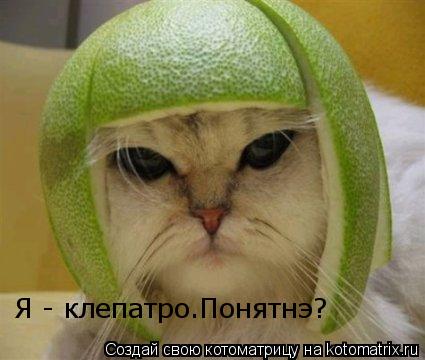 Я - клепатро.Понятнэ?... Котоматрица: Я - клепатро.Понятнэ?