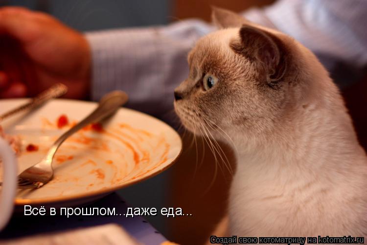 Всё в прошлом...даже еда...... Котоматрица: Всё в прошлом...даже еда...
