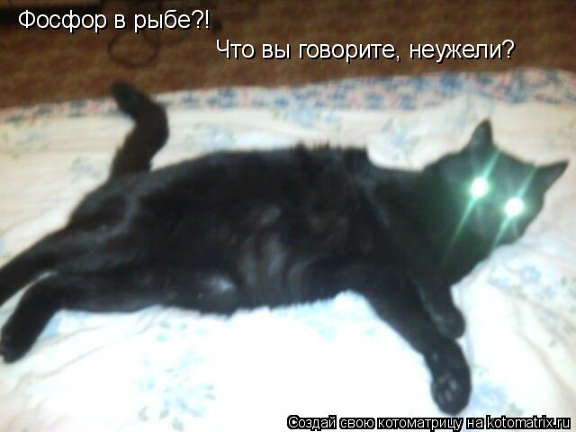 Фосфор в рыбе?! Что вы говорите, неужели?... Котоматрица: Фосфор в рыбе?! Что вы говорите, неужели?