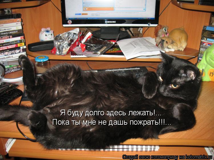Я буду долго здесь лежать!... Пока ты мне не дашь пожрать!!!...... Котоматрица: Я буду долго здесь лежать!... Пока ты мне не дашь пожрать!!!...