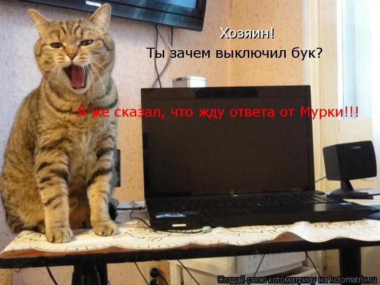 Хозяин! Ты зачем выключил бук? Я же сказал, что жду ответа от Мурки!!!... Котоматрица: Хозяин! Ты зачем выключил бук? Я же сказал, что жду ответа от Мурки!!!