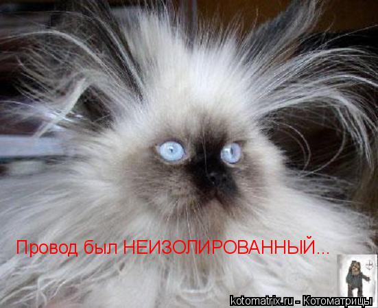 Провод был НЕИЗОЛИРОВАННЫЙ...... Котоматрица: Провод был НЕИЗОЛИРОВАННЫЙ...