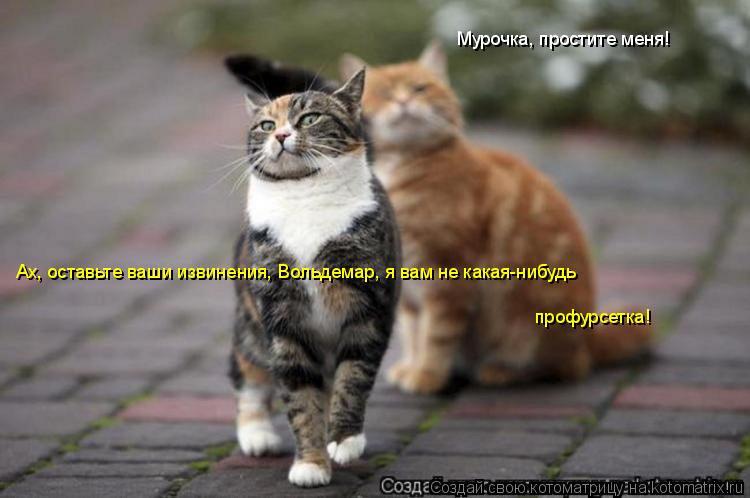 Мурочка, простите меня! Ах, оставьте ваши извинения, Вольдемар, я вам не какая-нибудь профурсетка!... Котоматрица: Мурочка, простите меня! Ах, оставьте ваши извинения, Вольдемар, я вам не какая-нибудь профурсетка!